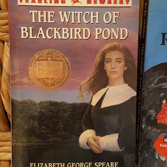 Newberry Award Winning 🏆 Young Readers Classics - Picture 5 of 9